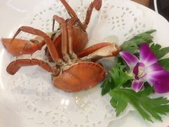 -友强·23年特色海鲜大排档(厦门店)