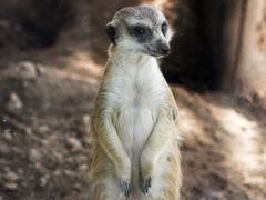 -西安秦岭野生动物园