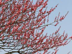 -花开海上生态园