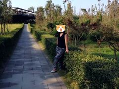 -白鹭湾湿地公园