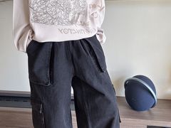 -岭南站NOVA
