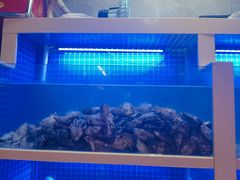 -农家霸王地锅鸡(国顺东路店)