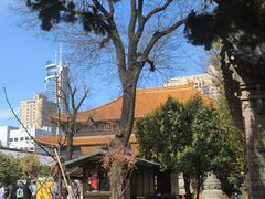 -大慈恩寺(大雁塔)