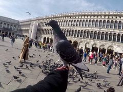 -圣马尔谷圣殿宗主教座堂