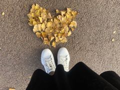 -济南国际园博园