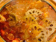 泉水肥肠鸡-雀蓝川菜(奥体广场店)