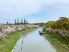 -上海海湾国家森林公园