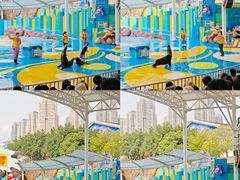 -海合安成都极地海洋公园