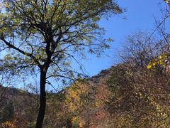 -北京鹫峰国家森林公园