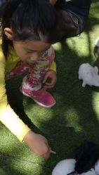 -萌宠亲子动物乐园(槐房万达店)