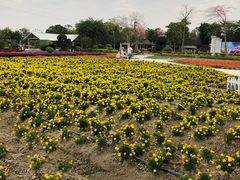 -广东花都香草世界旅游度假区
