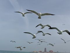 -八仙过海景区