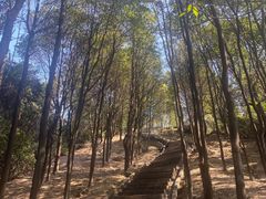 -火炉山森林公园