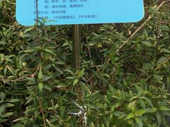 -广东中医药博物馆