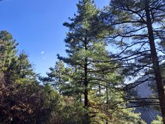 -苍山感通索道