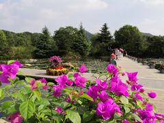 -白马涧龙池景区