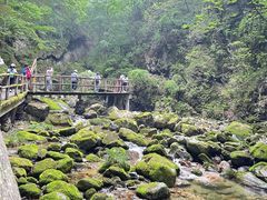 -牛背梁国家森林公园