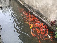 景点-前童古镇