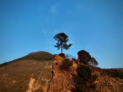 -树山生态村
