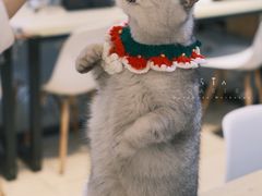 -Oasis绿洲银饰珍珠手作diy(壹方城店)