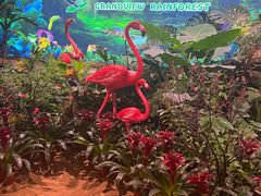 -正佳雨林生态植物园