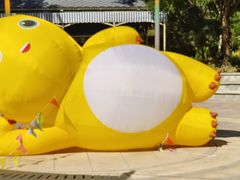 -南宫五洲植物乐园