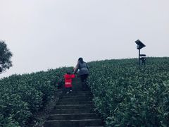 -帐篷客·溪龙茶谷度假酒店