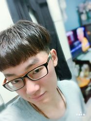 -大象造型