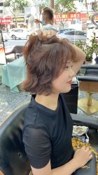 -藤野造型专业烫染接发