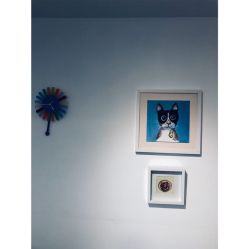 -净漪造型 PURE RIPPLE