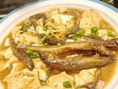 新泉豆腐焖河鱼-新泉小傅美食(国贸天琴湾天境店)