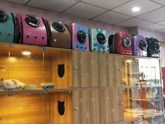-喵百万·布偶·蓝金金渐层英短·猫舍(百子湾店)