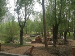 -长春公园(普阳街道)