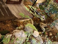 -大江户·温泉洗浴(浑南店)