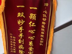 -心仪动物医院·牙专科·肿瘤·心脏科(西客站院)