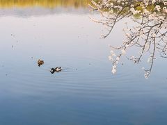 -颐和园