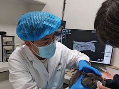 -达爱动物医院·犬猫分区·CT·复杂眼科(远洋山水分院)