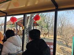 -济南野生动物世界
