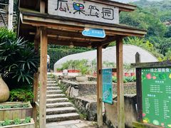 -青青世界