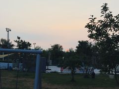 -爪吧宠物乐园·宠物泳池(温榆河示范区店)