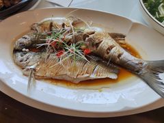 清蒸白水鱼-状元楼(金溪路店)