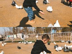 -东营园博园