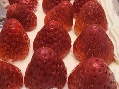 -花花卷卷·鲜食蛋糕(泉屋店)