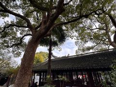 -上海醉白池公园