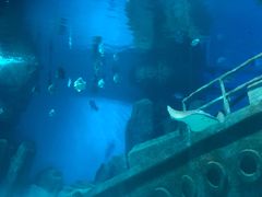 -福州罗源湾海洋世界旅游区