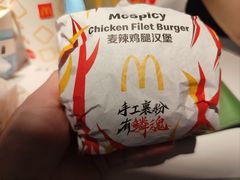 -麦当劳(开平潭江店)