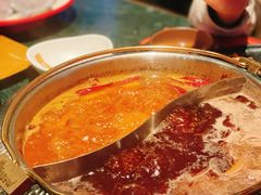 -牛New寿喜烧(金鹰世界店)