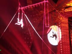 -珠海横琴长隆《卡卡虎奇遇记》