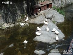 DSC02189-北京水岸山吧度假村(雁栖镇店)
