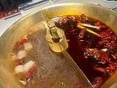 -小龙翻大江文化火锅(宽窄店)